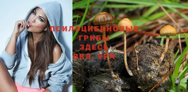 прущий лед Лиски